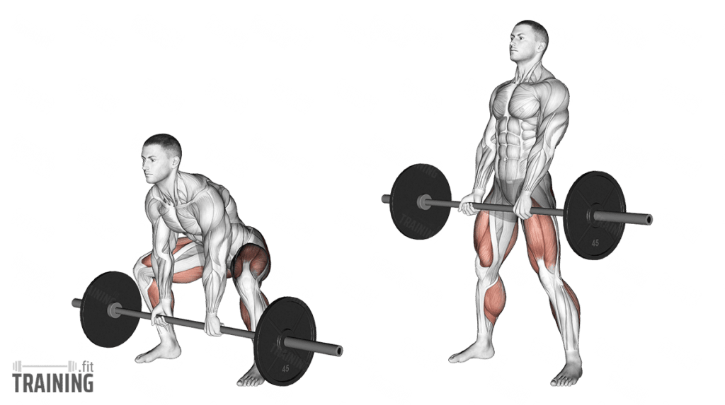 Sumo Deadlift - Instructions, Information & Alternatives » Training.fit