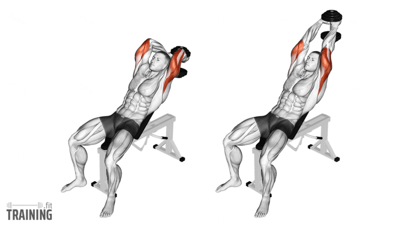 Dumbbell Chest Press  Illustrated Exercise Guide