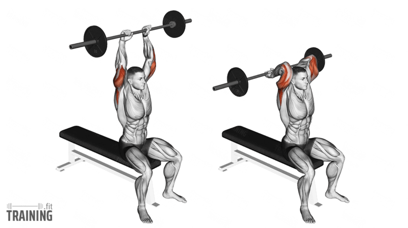 Overhead Tricep Extension Instructions Information Alternatives Training.fit