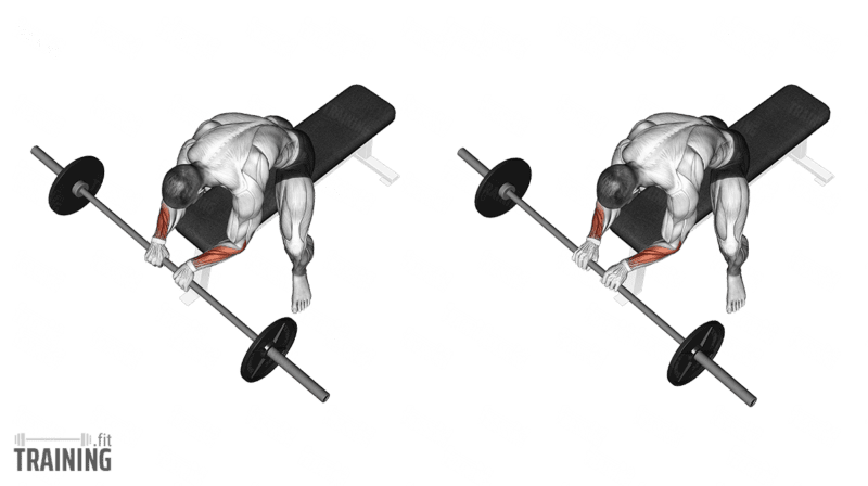 Barbell reverse curl exercise instructions and video