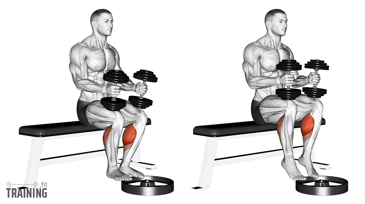 Dumbbell calves online workout