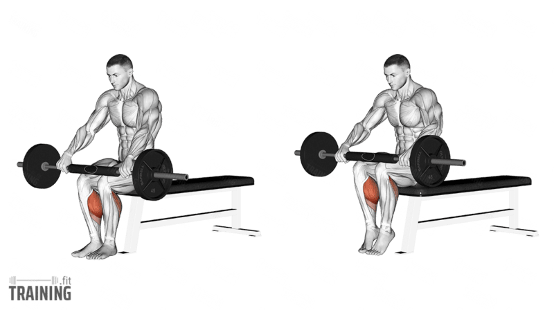 Bewegungsablauf: Sitzendes Langhantelwadenheben