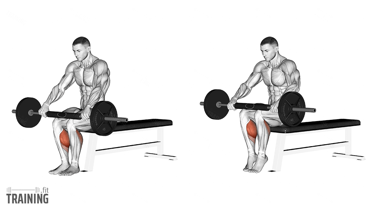 Seated best sale barbell raise