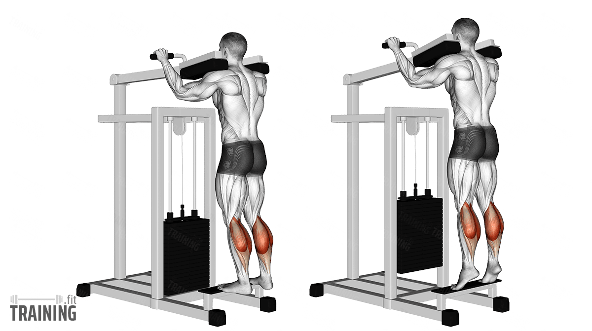 Single Leg Calf Raise Smith Machine Calf Raise Single Leg Vertical