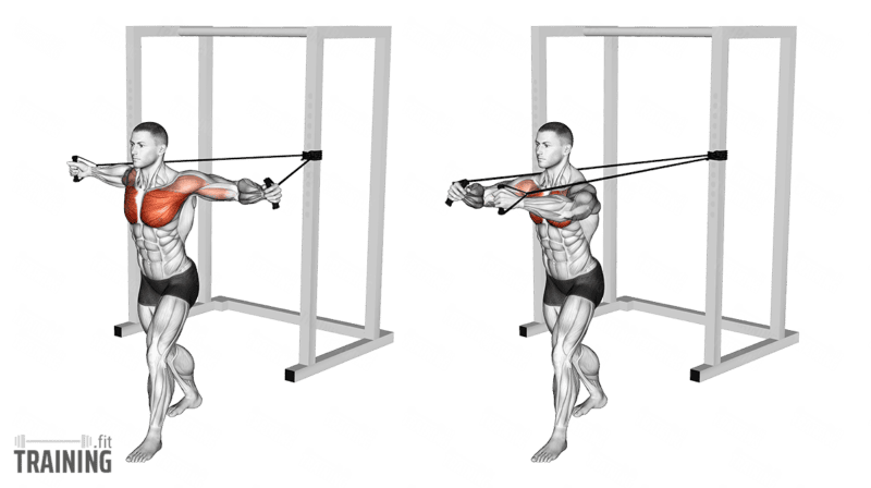 Movement sequence: Standing chest fly facing away from chest-height resistance-band anchors.