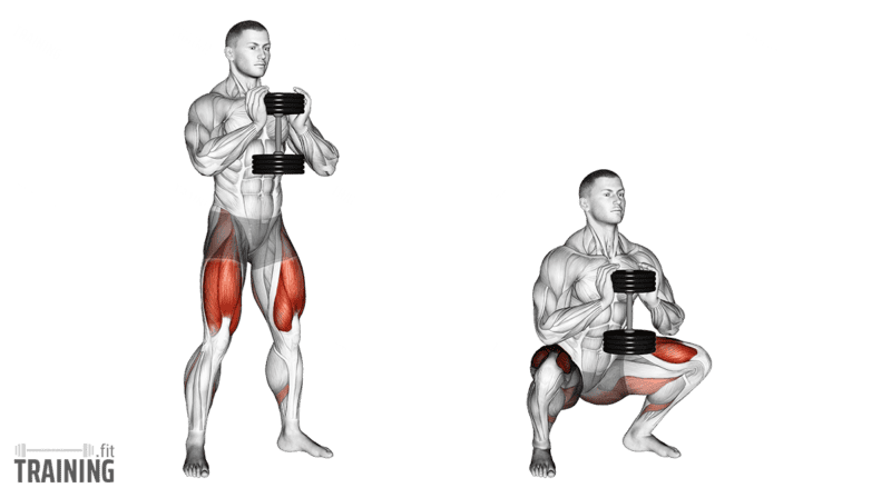 Movement sequence: Goblet squat with one vertical dumbbell held close to the chest by its upper end.