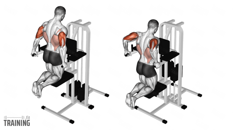 Bewegungsablauf: Dips am Gerät mit beiden Knien auf einem durch Gegengewicht unterstützten Polster.