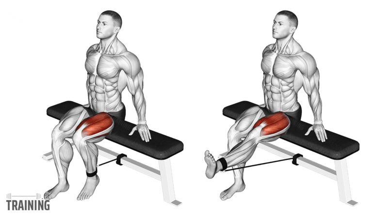 Movement sequence: Seated single-leg extension with an ankle cuff and resistance band anchored behind a flat bench.