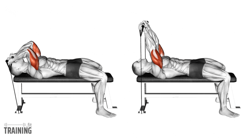 Movement sequence: Lying band skull crusher on a flat bench with the band anchored behind the head.