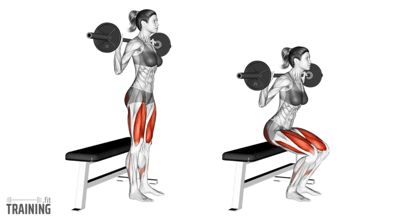 Barbell back squat lowering onto a stable flat bench, then returning to standing.; Copyright: 