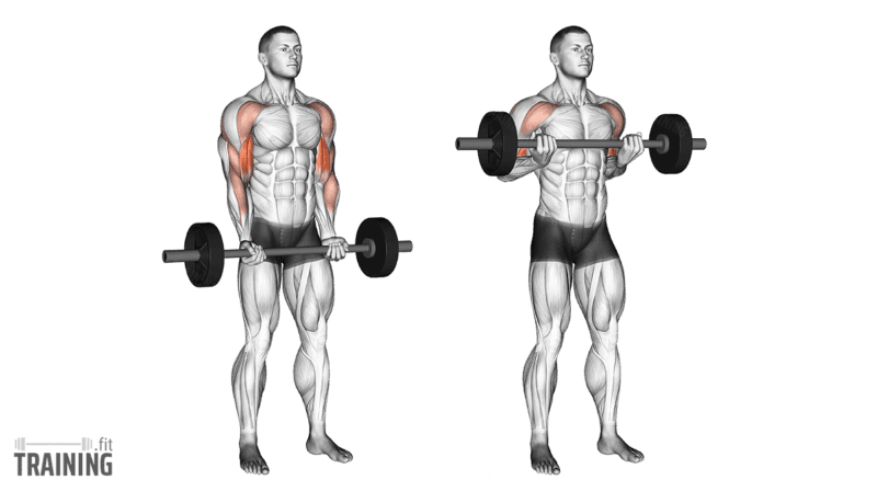 Movement sequence: Underhand barbell drag curl with the bar close to the torso and elbows moving backward.
