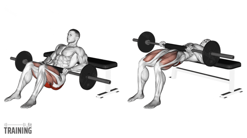 Bewegungsablauf: Hip Thrust mit gepolsterter Langhantel an der Hüfte, oberem Rücken auf einer Bank und fest aufgestellten Füßen.