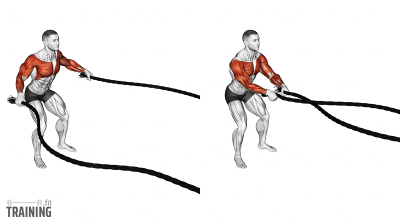 Movement sequence: Battle-rope fly with both arms opening sideways and closing in front from a shallow standing squat.