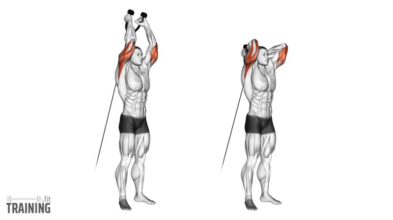 Movement sequence: Overhead rope triceps extension facing away from a low cable pulley.