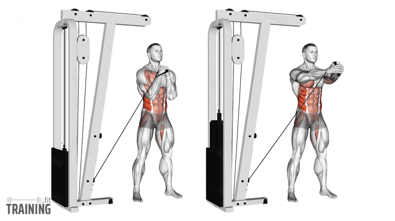 Movement sequence: Side-on cable Pallof press with hands moving horizontally from the chest; the illustration shows a low pulley.