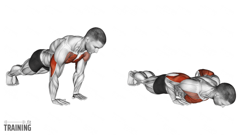 Movement sequence: Narrow-grip floor push-up with the hands inside shoulder width and elbows close to the torso.