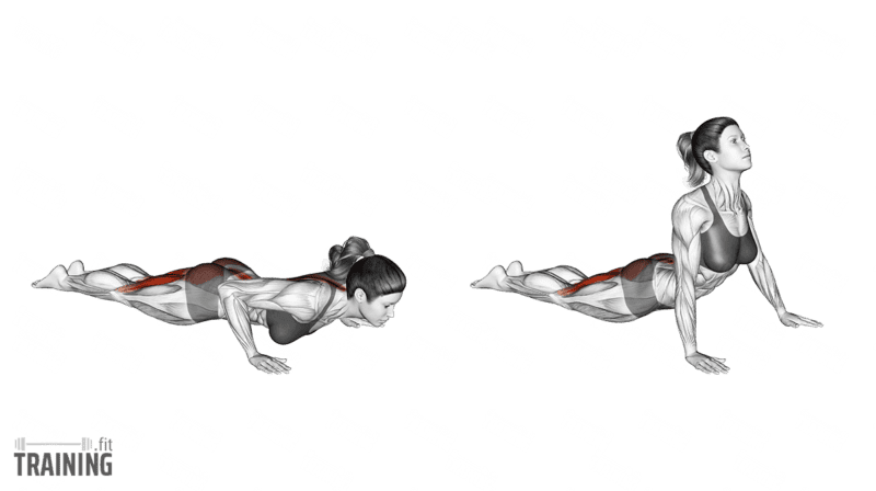 Movement sequence: Cobra pose from lying on the stomach to raising the chest with hand support, pelvis and legs remaining down.
