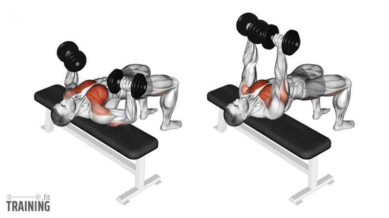 Movement sequence: Dumbbell chest press with the upper back across a bench and the hips held in a raised bridge.