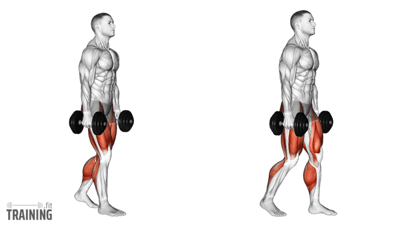Movement sequence: Farmer's carry walking with a dumbbell held in each hand beside the body.