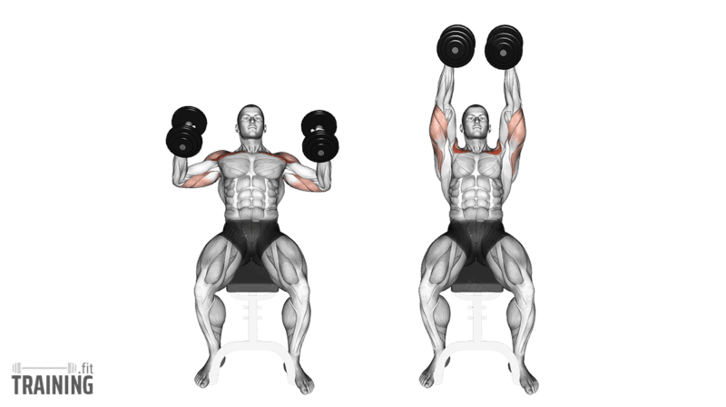 Movement sequence: Seated dumbbell press with a neutral grip, palms facing each other, pressing from shoulder height to overhead.