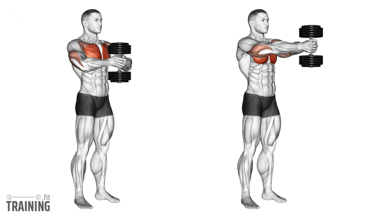 Movement sequence: Standing Svend press with one upright dumbbell held in both hands and pressed forward at chest height.