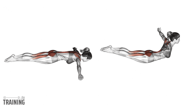 Movement sequence: Prone Superman T-raise with arms out to the sides and chest and legs lifted slightly from the floor.