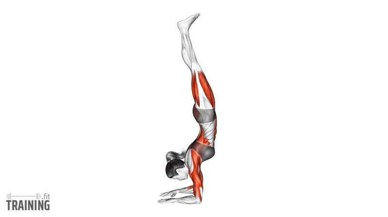 Bewegungsablauf: Unterarmstand mit parallelen Unterarmen und Handflächen am Boden, freiem Kopf und nach oben gestreckten Beinen.