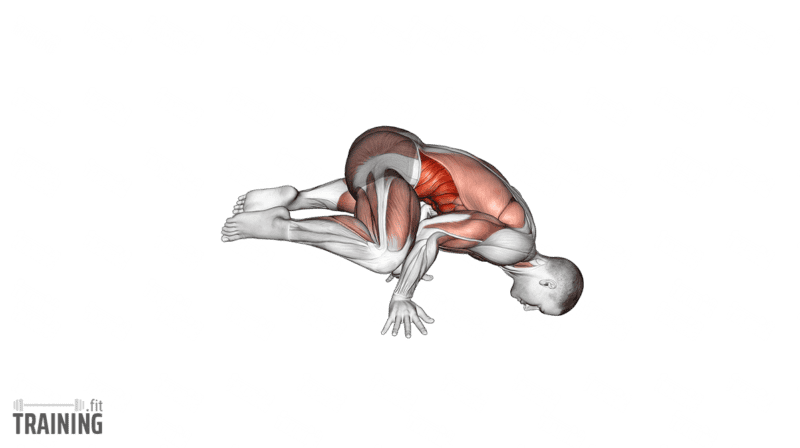 Movement sequence: Bent-arm frog stand balancing on the hands with knees supported near the elbows and feet lifted.