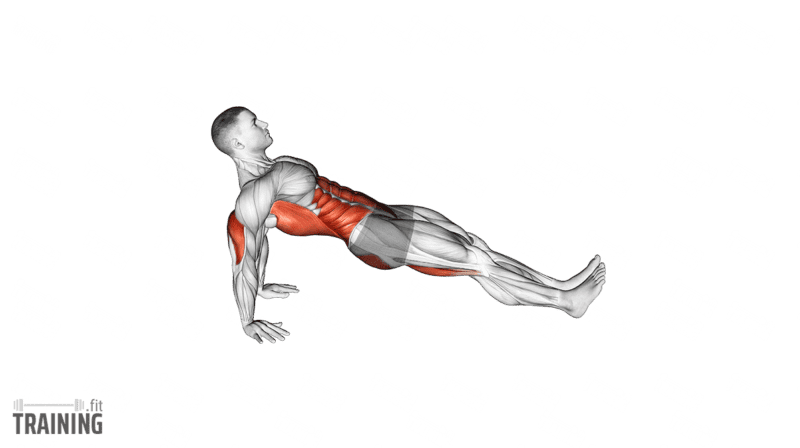 Reverse plank facing upward with straight arms behind the body, straight legs and hips lifted.; Copyright: 
